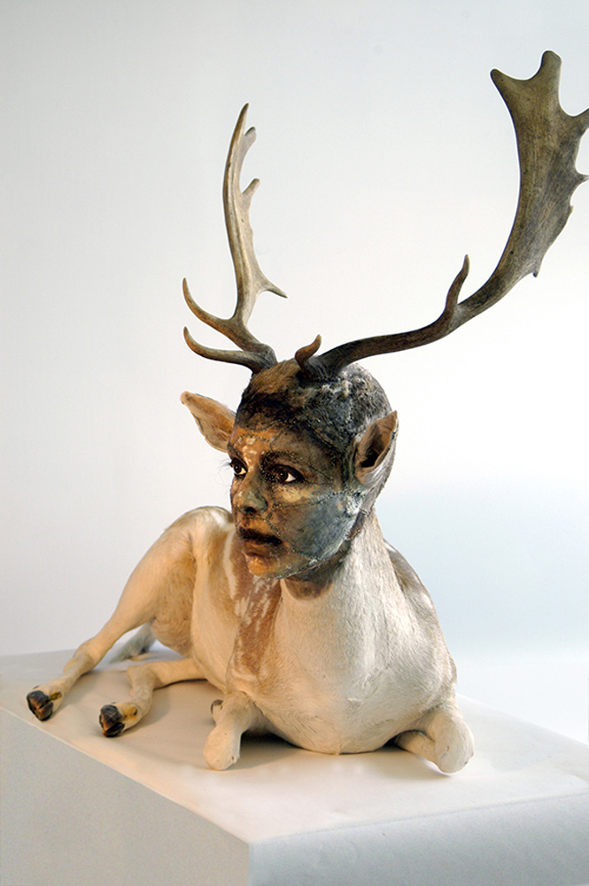 Untitled-fallow-deer - Kate Clark